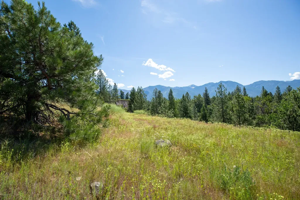 Tbd Skip Lane Arlee MT 59821
