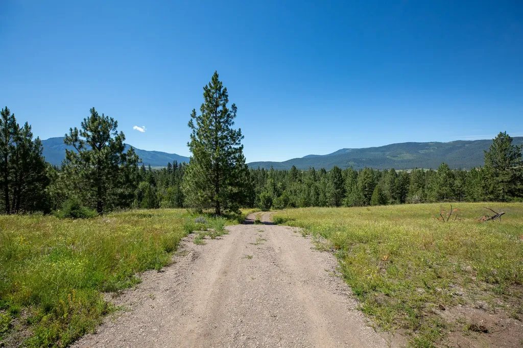Tbd Skip Lane Arlee MT 59821