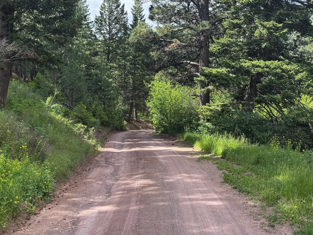 2270 Lynx Trail Drive Wolf Creek MT 59648