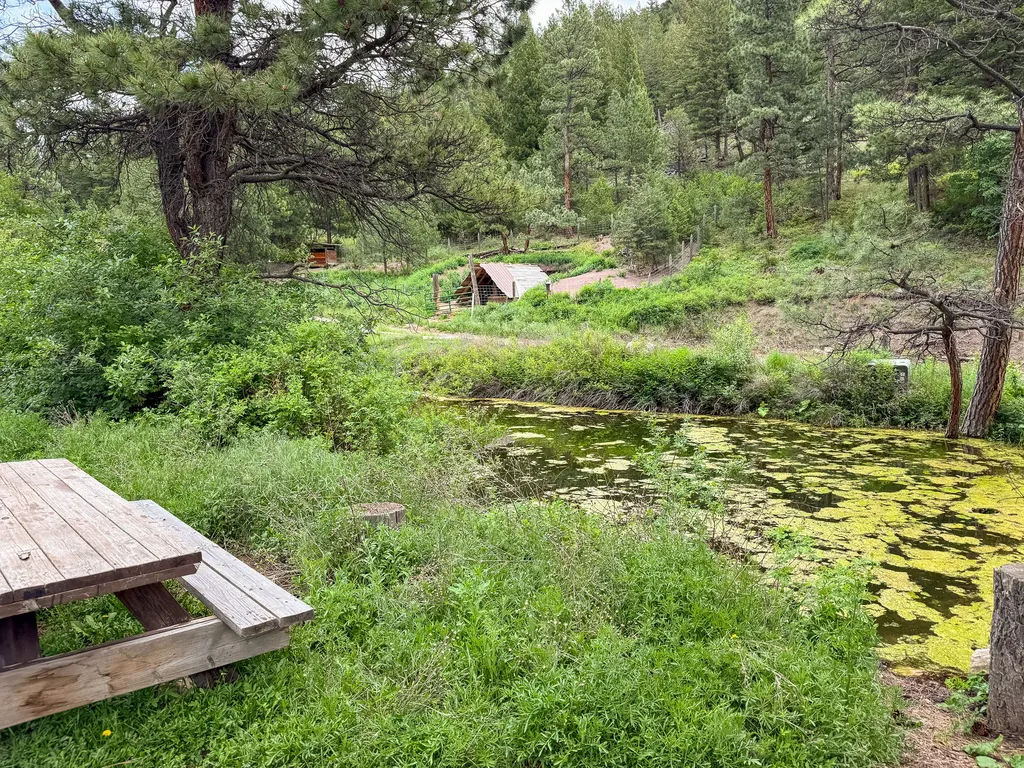 2270 Lynx Trail Drive Wolf Creek MT 59648