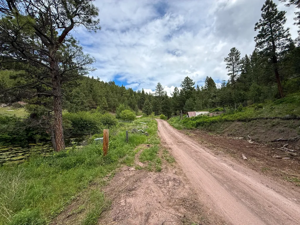 2270 Lynx Trail Drive Wolf Creek MT 59648