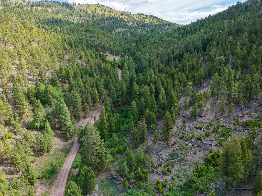 2270 Lynx Trail Drive Wolf Creek MT 59648