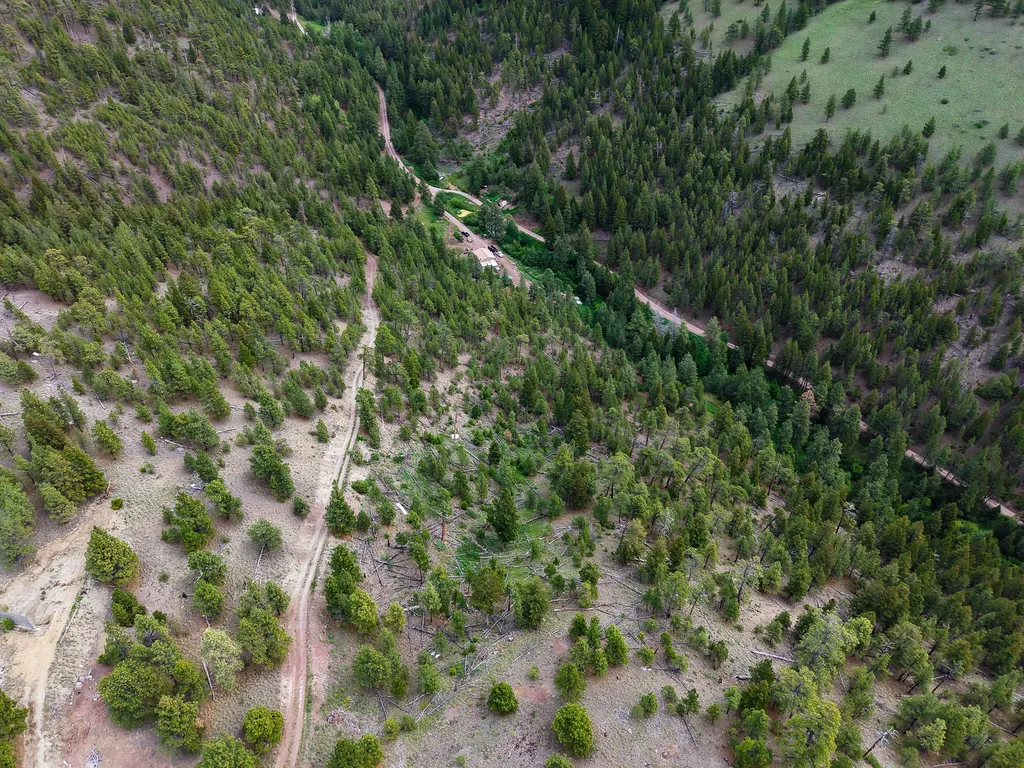 2270 Lynx Trail Drive Wolf Creek MT 59648