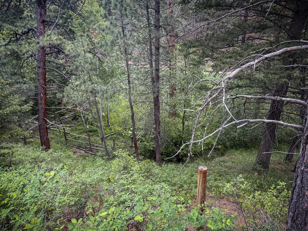 2270 Lynx Trail Drive Wolf Creek MT 59648