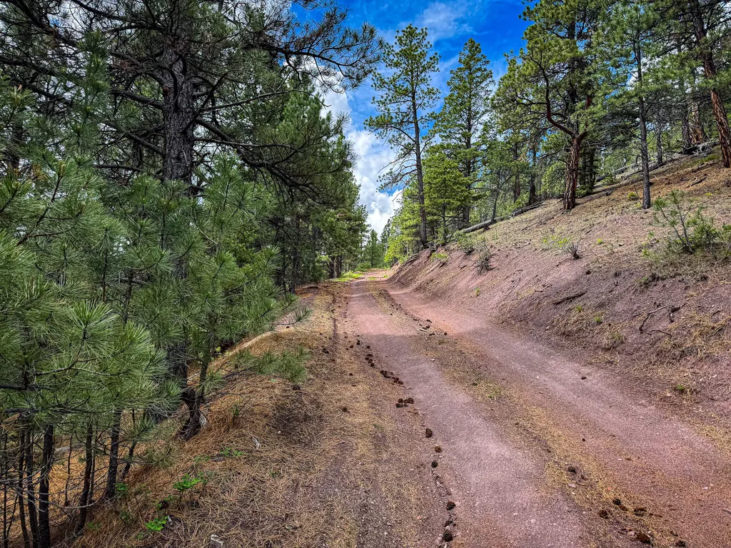 2270 Lynx Trail Drive Wolf Creek MT 59648