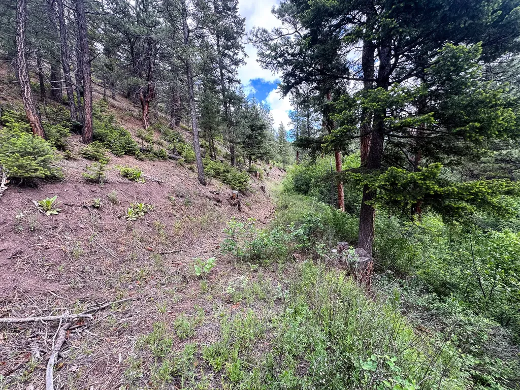 2270 Lynx Trail Drive Wolf Creek MT 59648