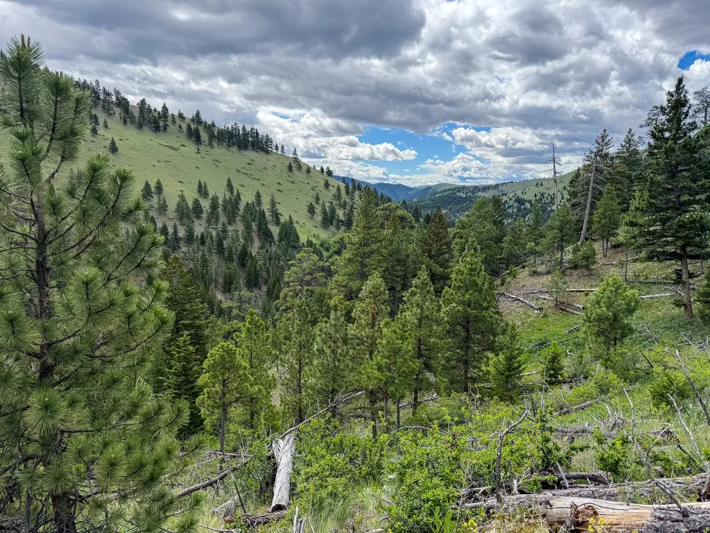 2270 Lynx Trail Drive Wolf Creek MT 59648