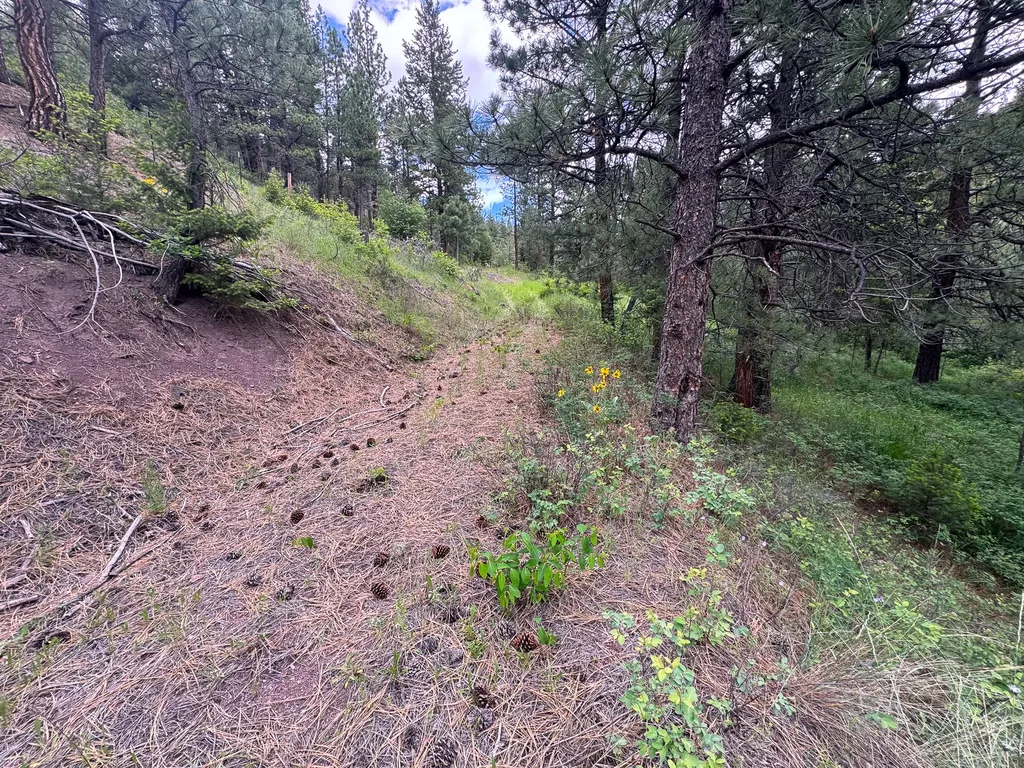 2270 Lynx Trail Drive Wolf Creek MT 59648