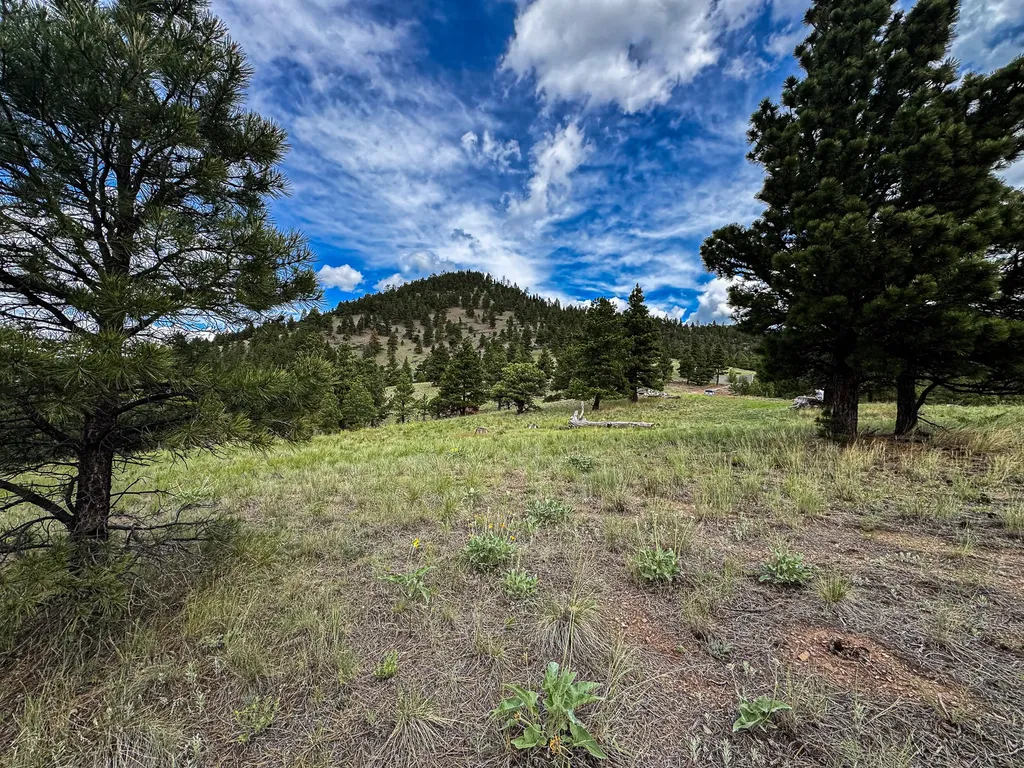 2270 Lynx Trail Drive Wolf Creek MT 59648