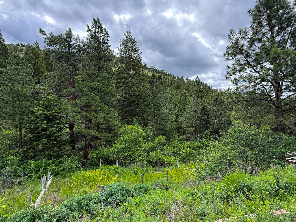 2270 Lynx Trail Drive Wolf Creek MT 59648