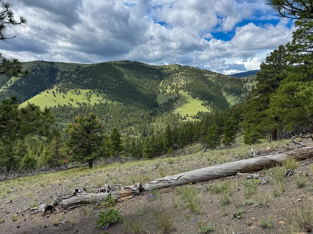 2270 Lynx Trail Drive Wolf Creek MT 59648
