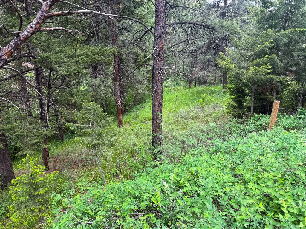 2270 Lynx Trail Drive Wolf Creek MT 59648
