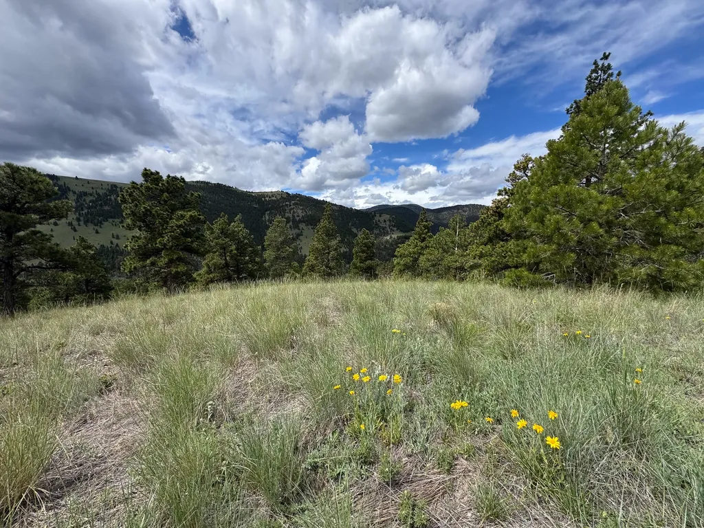 2270 Lynx Trail Drive Wolf Creek MT 59648
