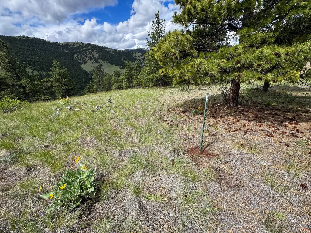 2270 Lynx Trail Drive Wolf Creek MT 59648