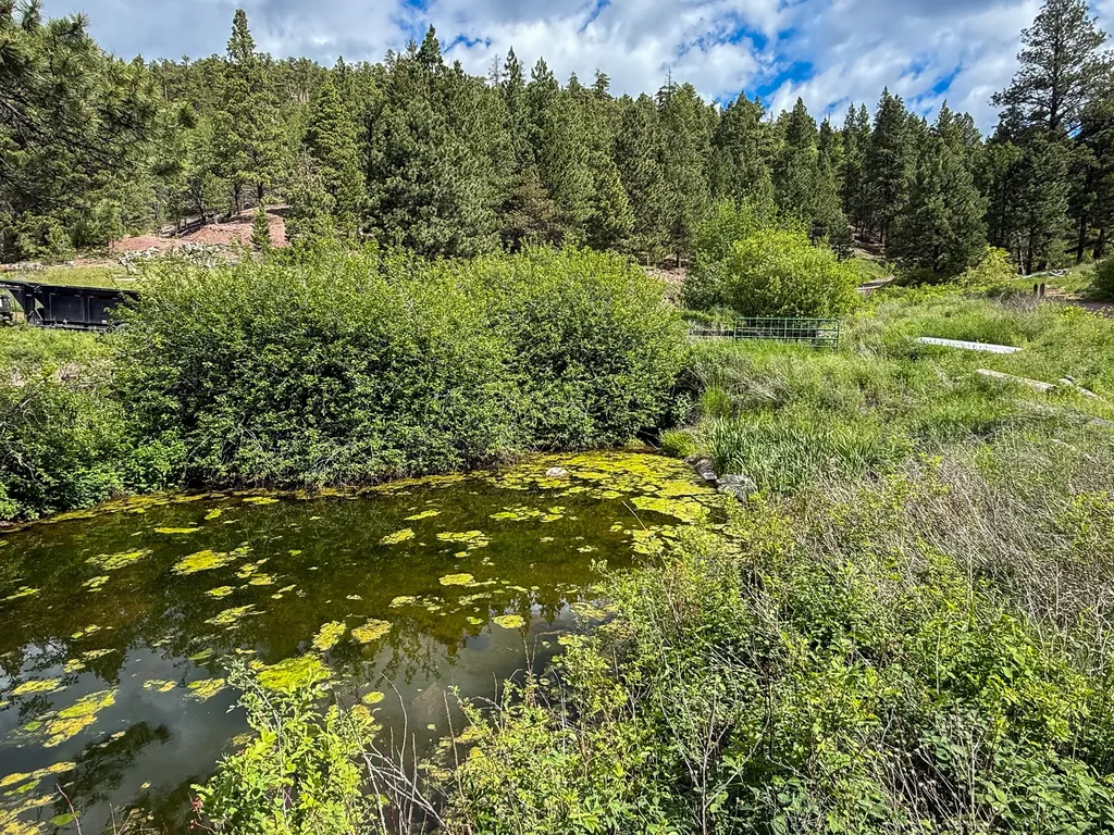 2270 Lynx Trail Drive Wolf Creek MT 59648