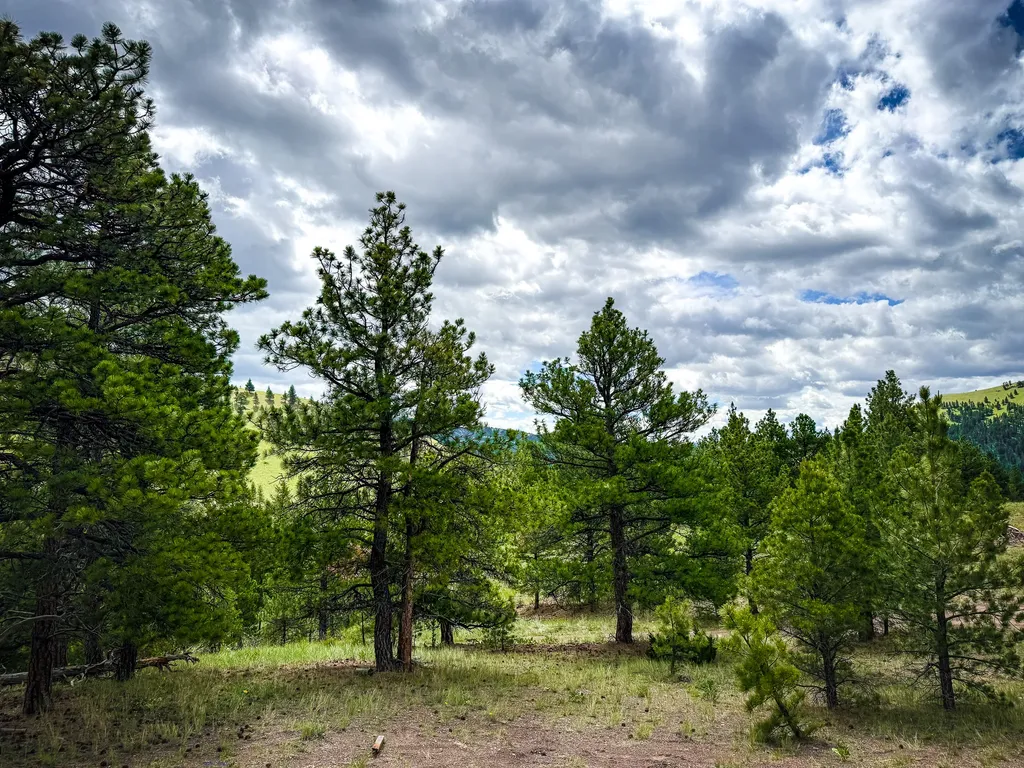 2270 Lynx Trail Drive Wolf Creek MT 59648