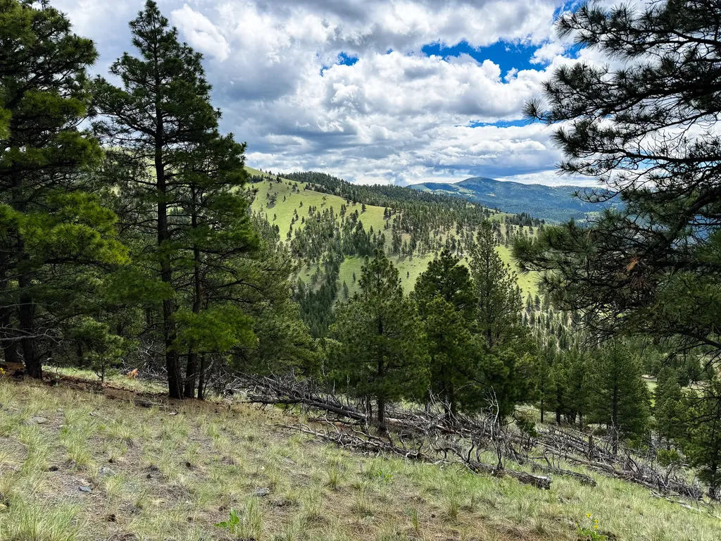 2270 Lynx Trail Drive Wolf Creek MT 59648