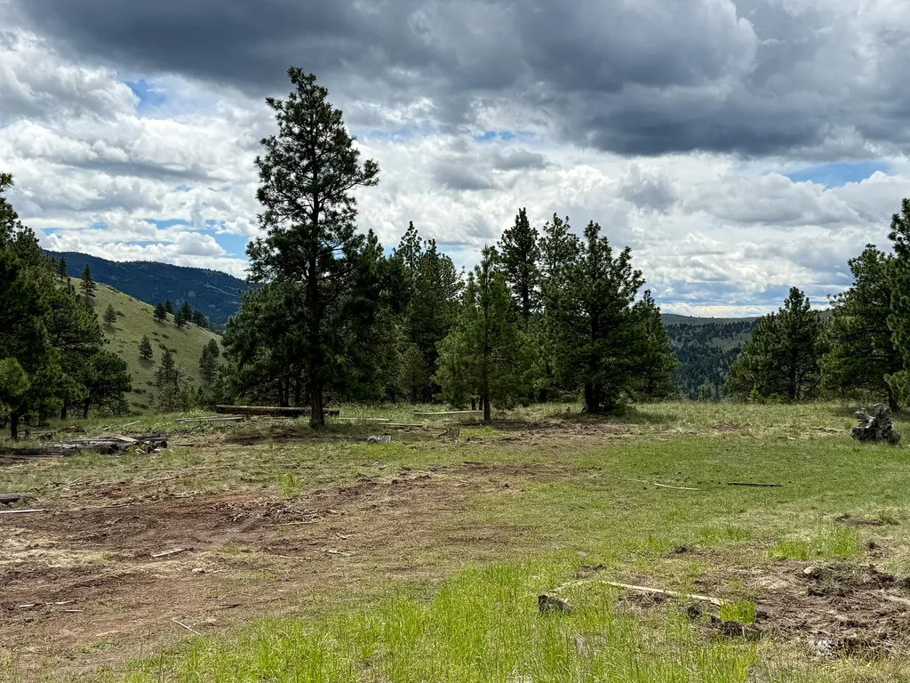 2270 Lynx Trail Drive Wolf Creek MT 59648