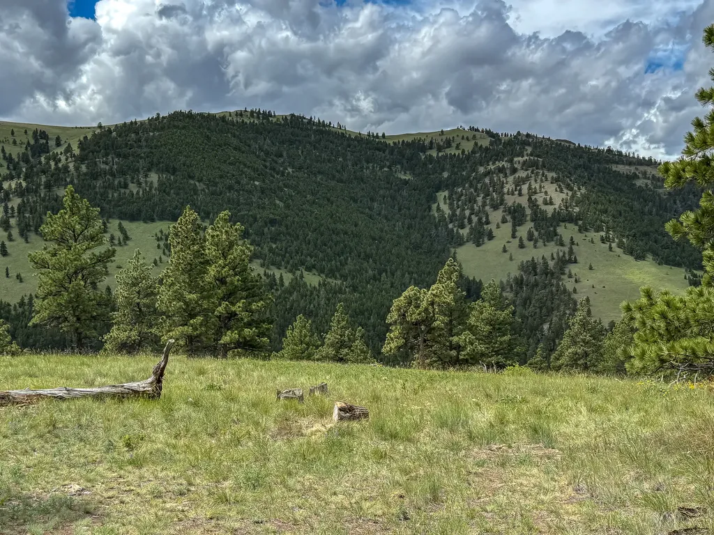 2270 Lynx Trail Drive Wolf Creek MT 59648