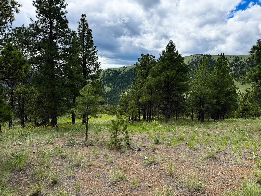 2270 Lynx Trail Drive Wolf Creek MT 59648