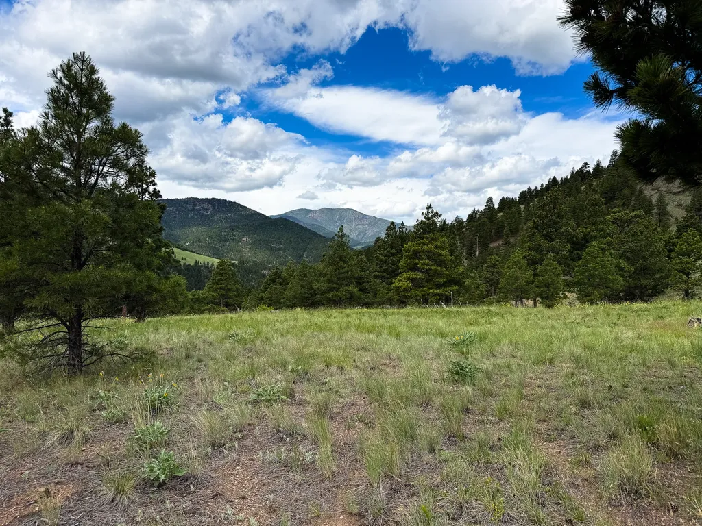 2270 Lynx Trail Drive Wolf Creek MT 59648
