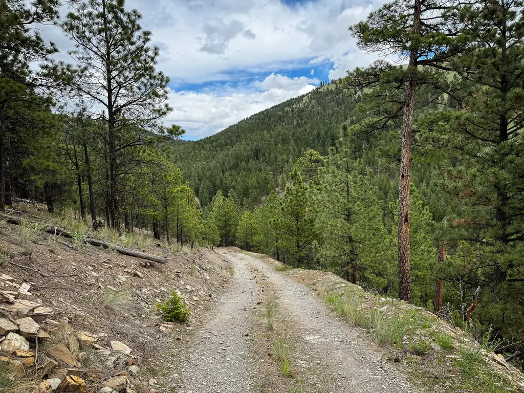 2270 Lynx Trail Drive Wolf Creek MT 59648