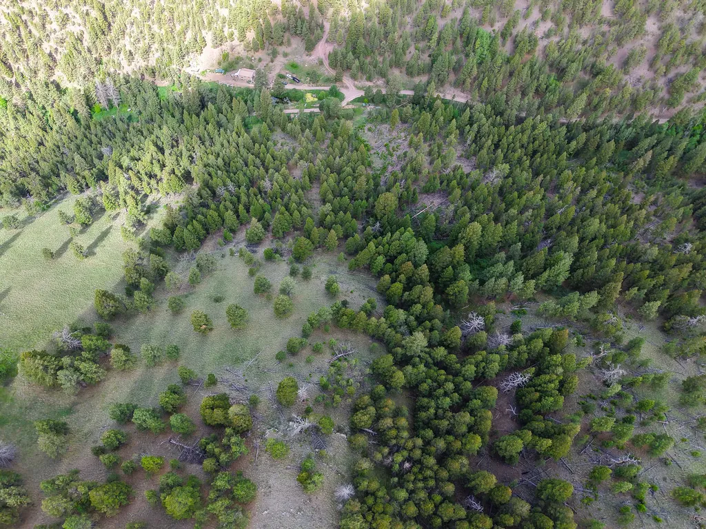 2270 Lynx Trail Drive Wolf Creek MT 59648