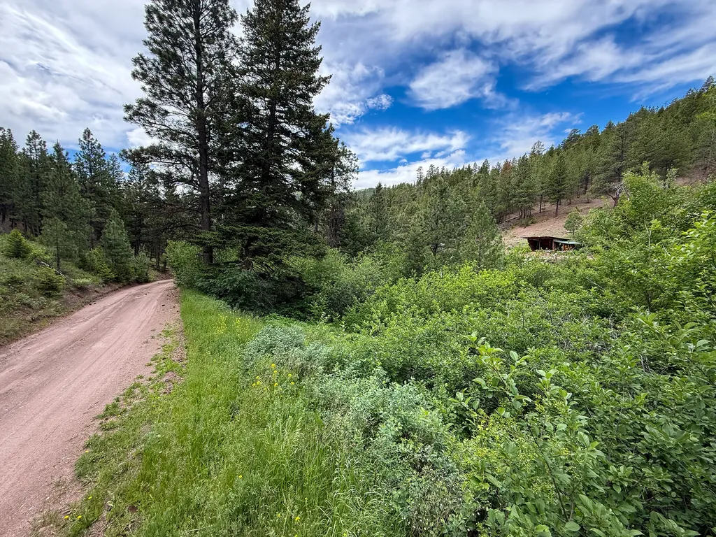 2270 Lynx Trail Drive Wolf Creek MT 59648