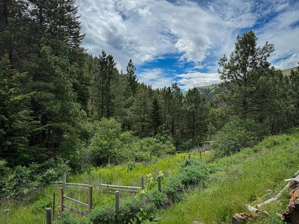 2270 Lynx Trail Drive Wolf Creek MT 59648