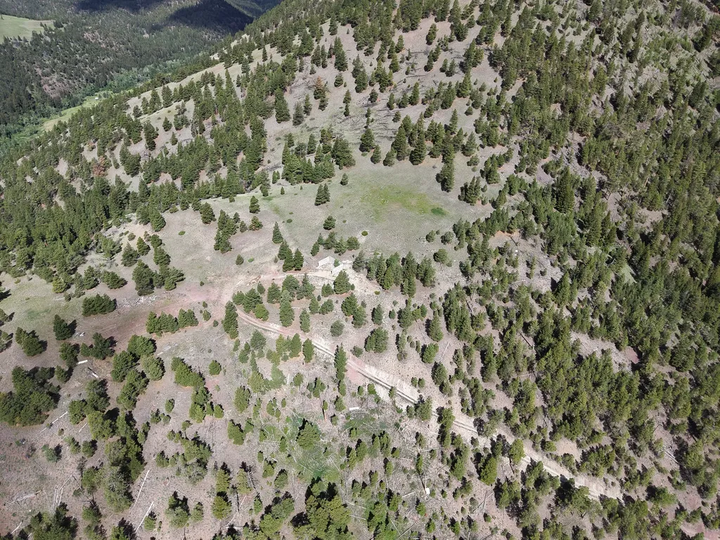 2270 Lynx Trail Drive Wolf Creek MT 59648