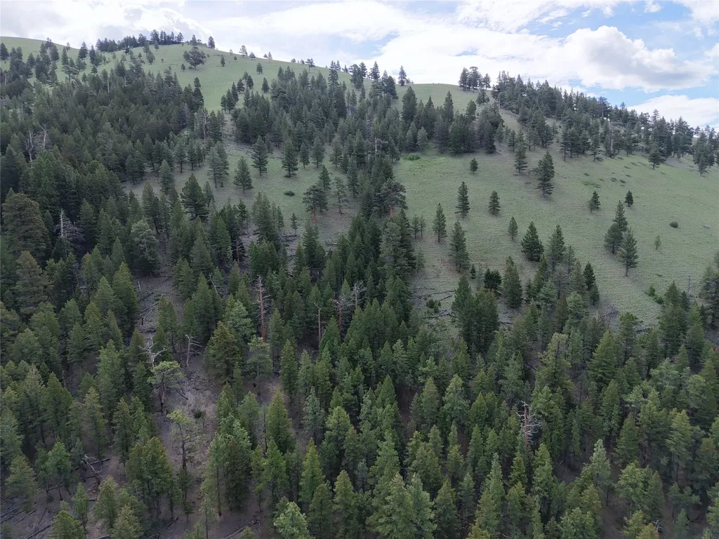 2270 Lynx Trail Drive Wolf Creek MT 59648