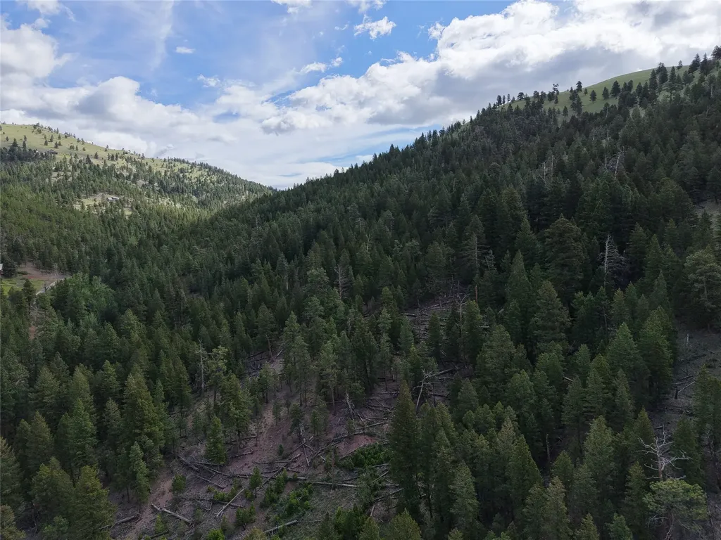 2270 Lynx Trail Drive Wolf Creek MT 59648