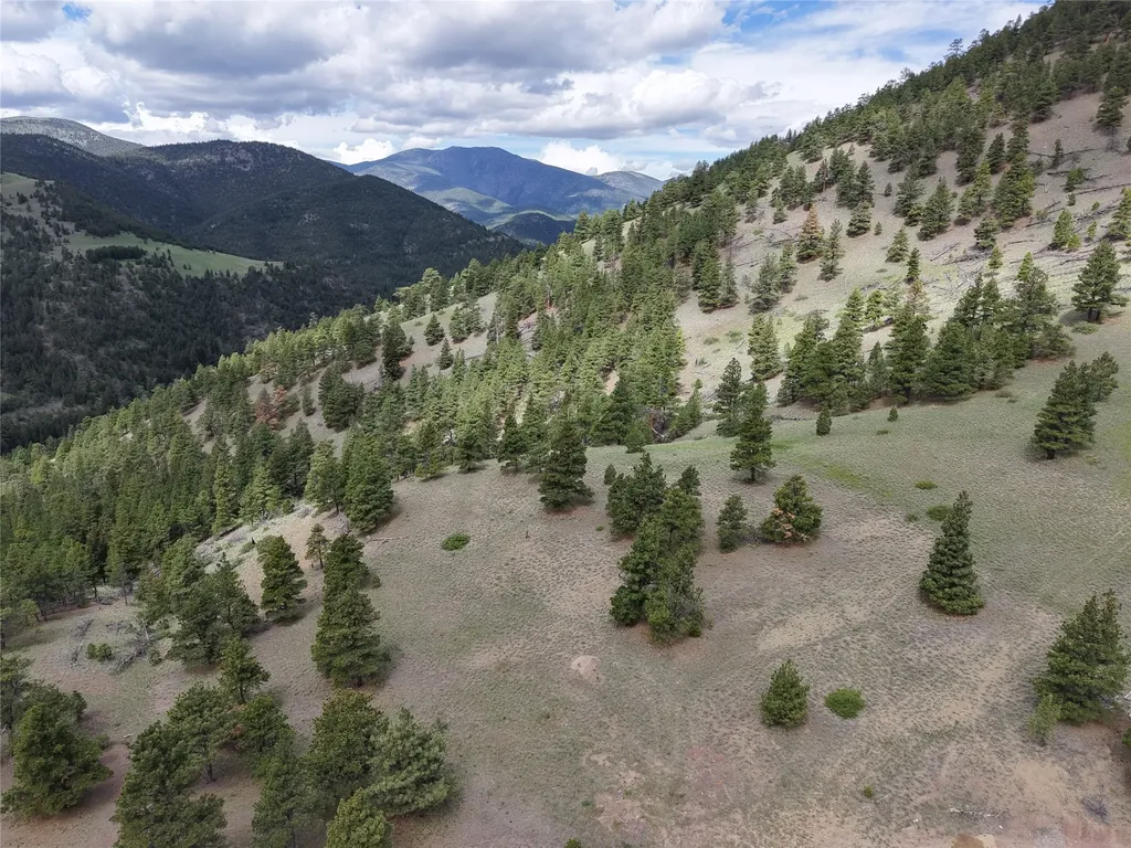2270 Lynx Trail Drive Wolf Creek MT 59648