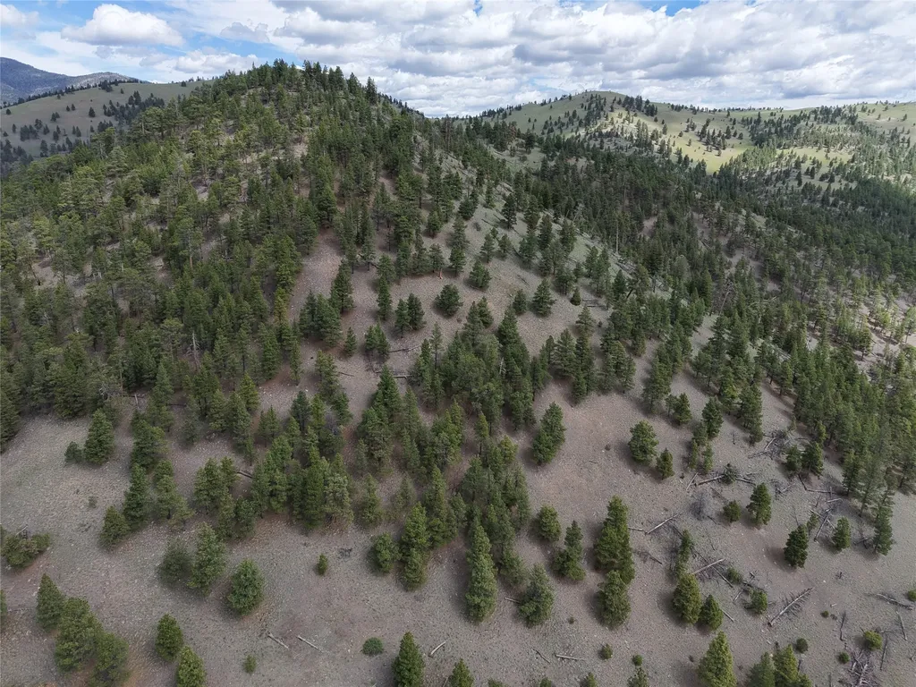 2270 Lynx Trail Drive Wolf Creek MT 59648