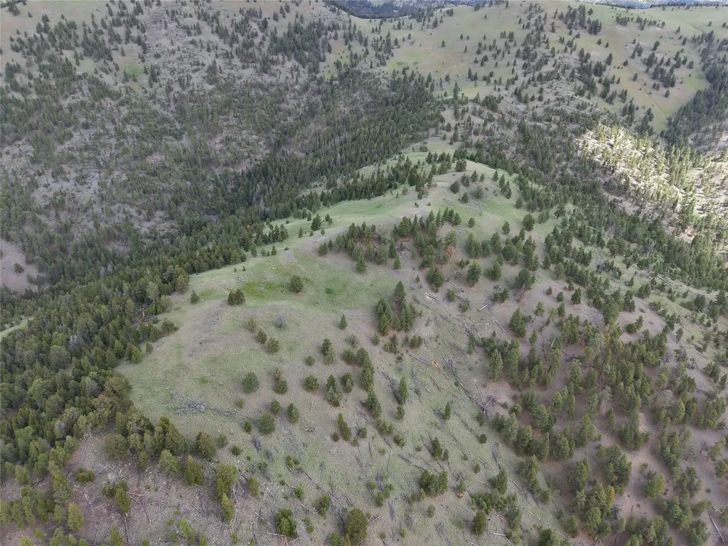2270 Lynx Trail Drive Wolf Creek MT 59648