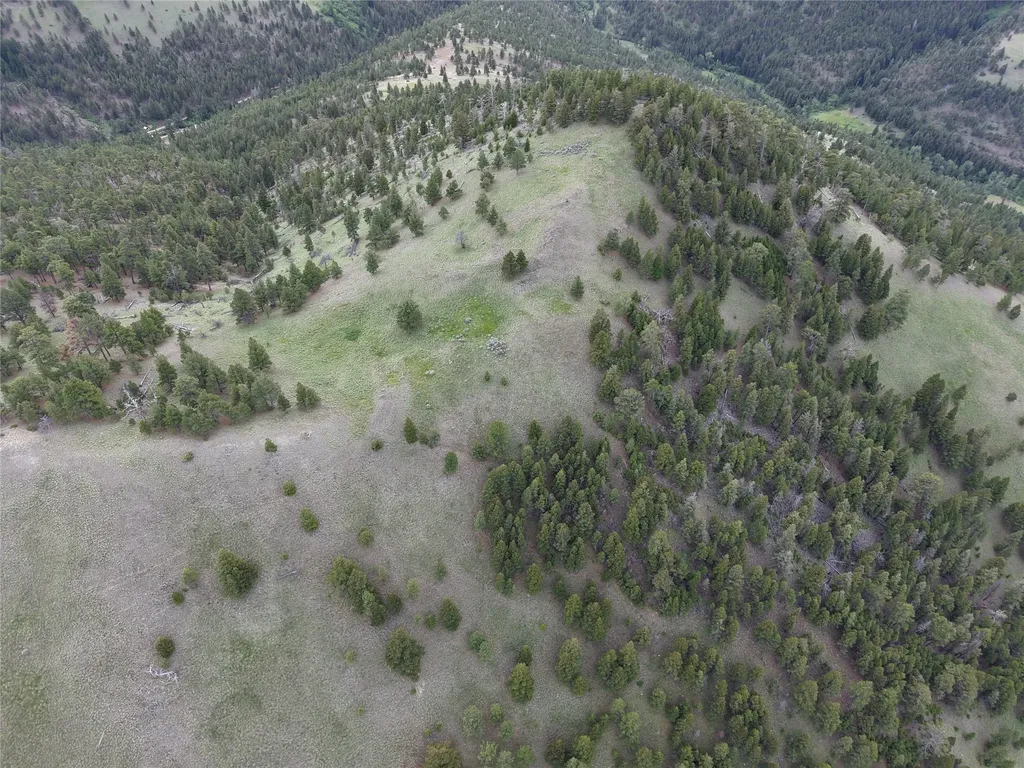 2270 Lynx Trail Drive Wolf Creek MT 59648