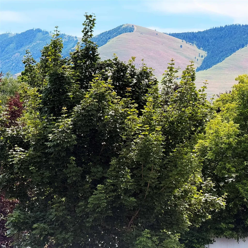 2259 S 3rd Street Missoula MT 59801