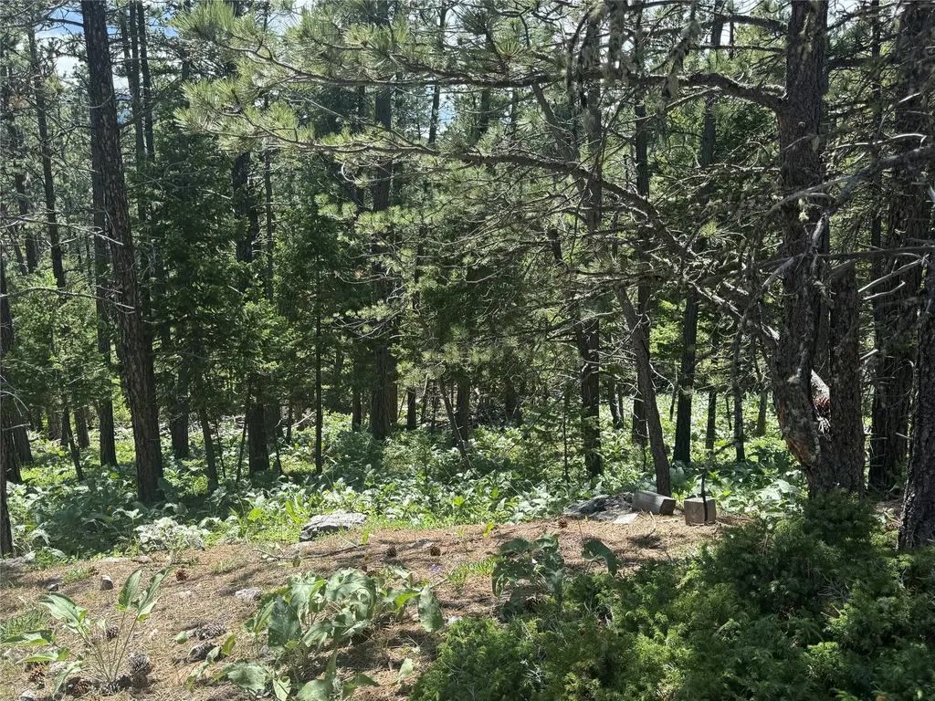 1048 Arrowood Estates Road Raynesford MT 59469