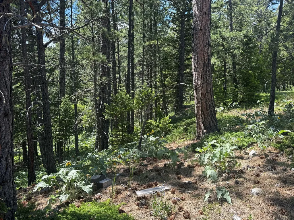 1048 Arrowood Estates Road Raynesford MT 59469