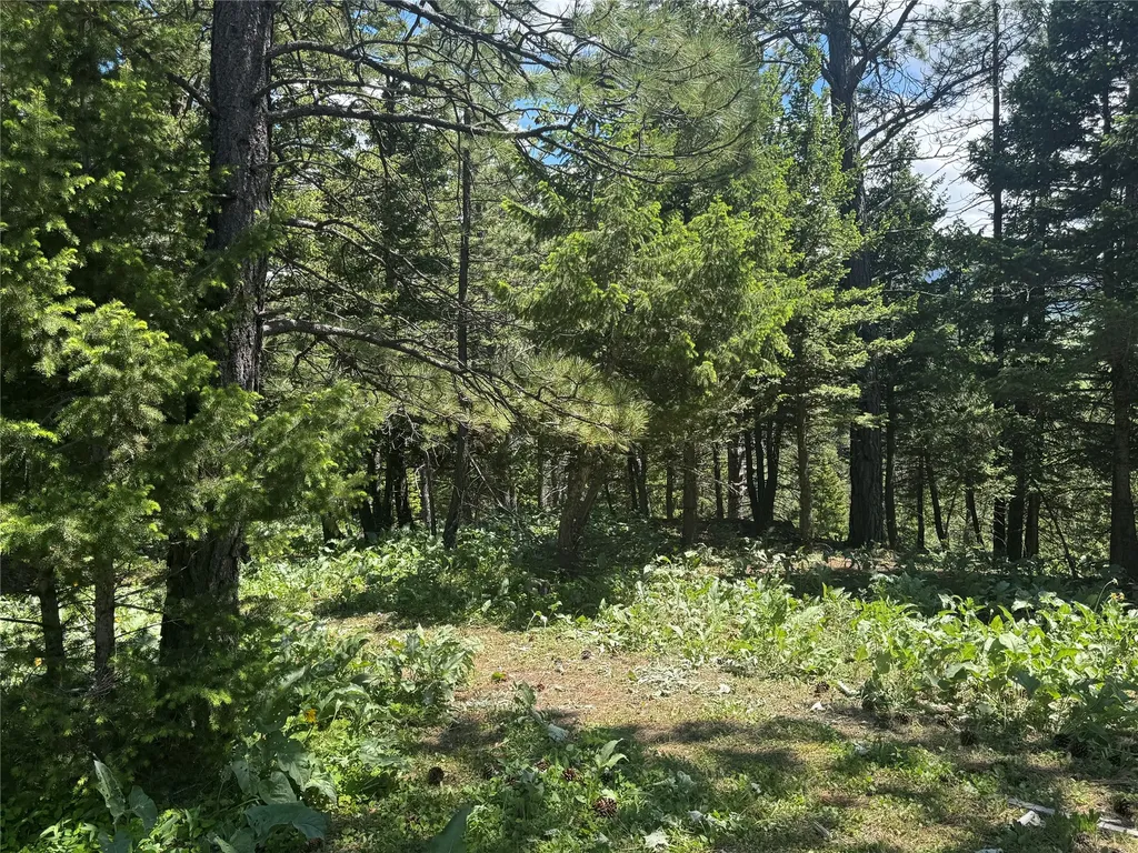 1048 Arrowood Estates Road Raynesford MT 59469