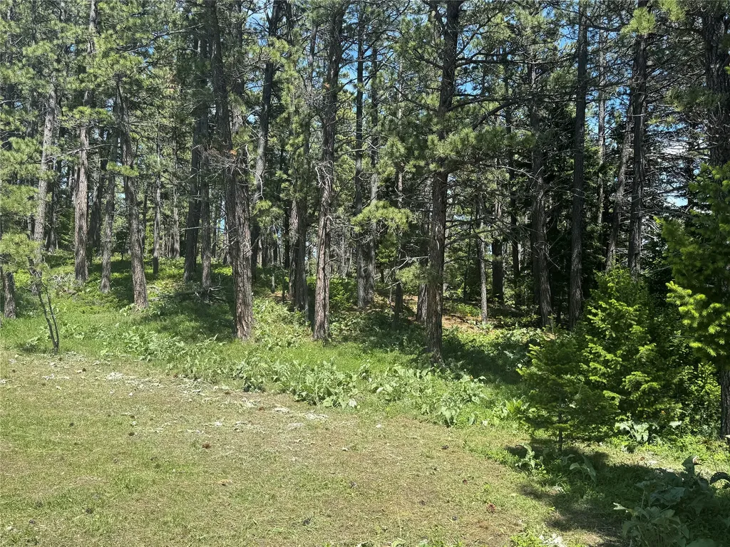 1048 Arrowood Estates Road Raynesford MT 59469