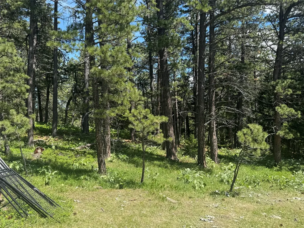 1048 Arrowood Estates Road Raynesford MT 59469