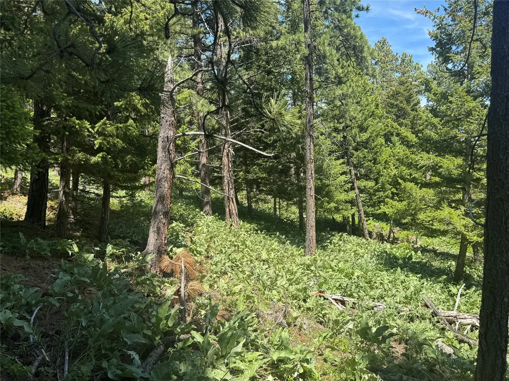 1048 Arrowood Estates Road Raynesford MT 59469