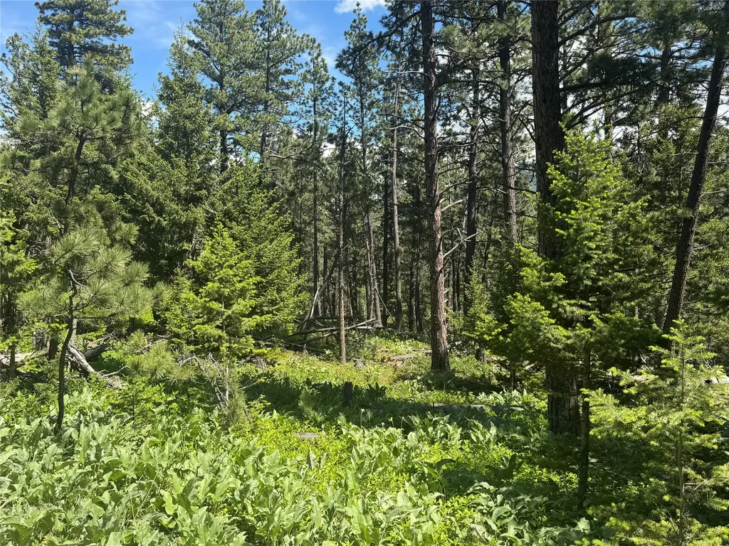 1048 Arrowood Estates Road Raynesford MT 59469