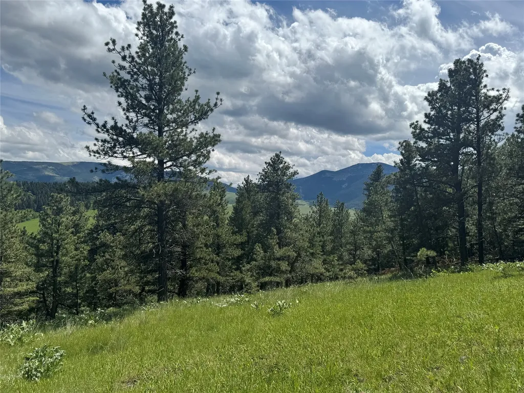1048 Arrowood Estates Road Raynesford MT 59469