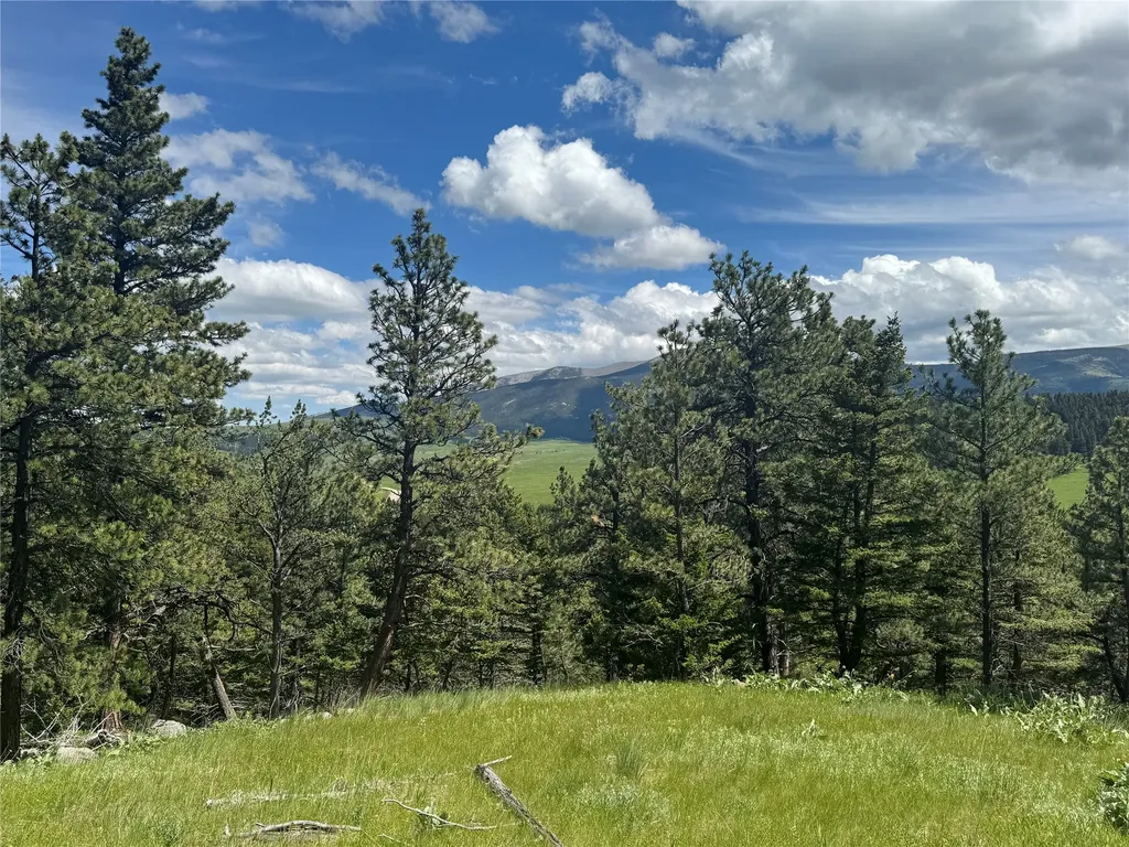 1048 Arrowood Estates Road Raynesford MT 59469