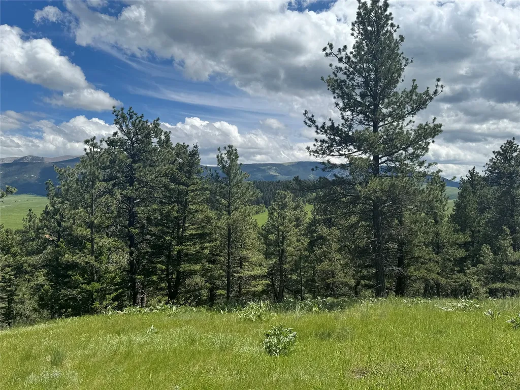 1048 Arrowood Estates Road Raynesford MT 59469