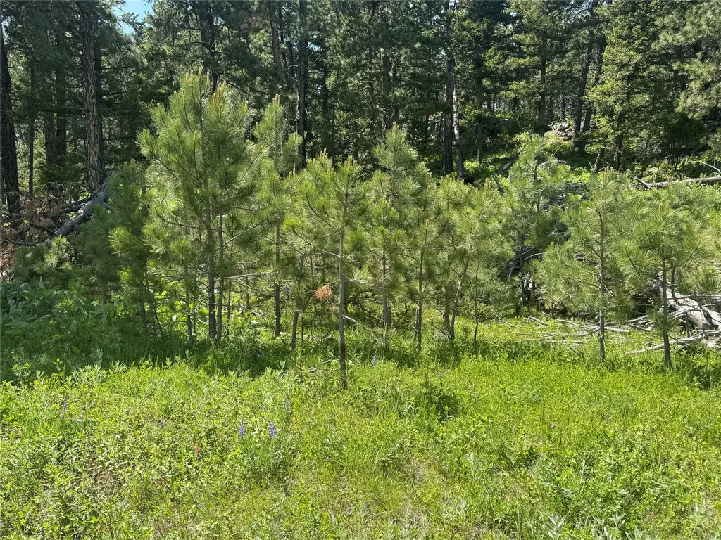 1048 Arrowood Estates Road Raynesford MT 59469