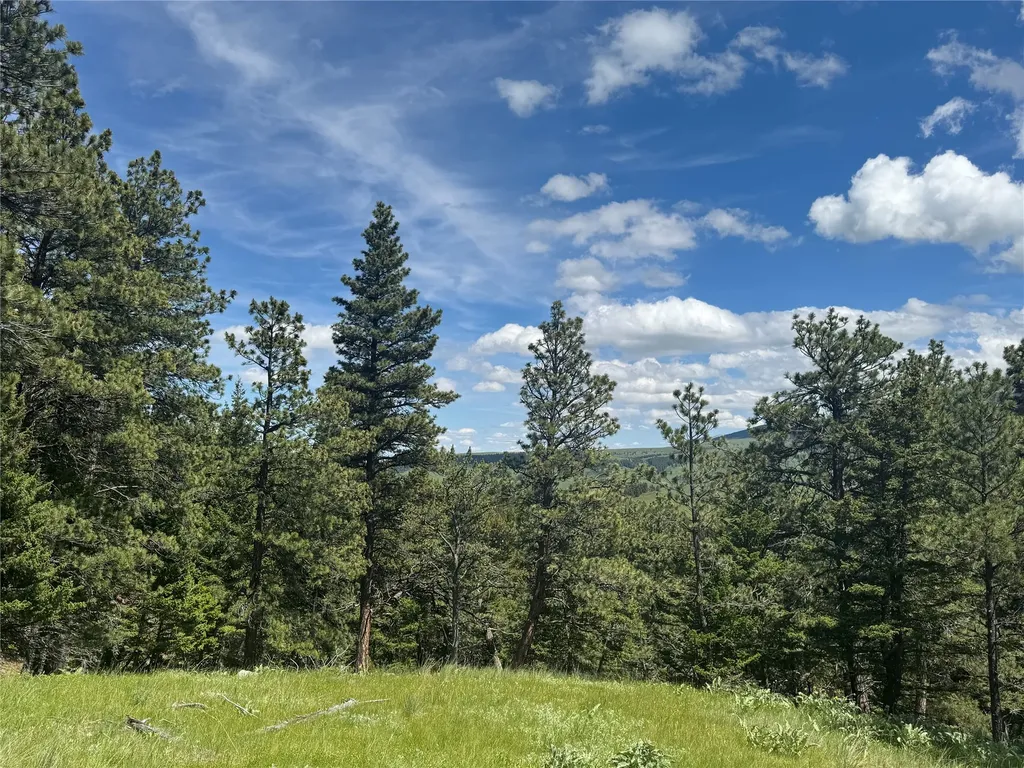 1048 Arrowood Estates Road Raynesford MT 59469
