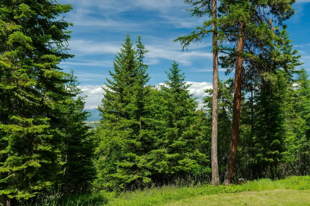 295 Wildlife Trail Kalispell MT 59901
